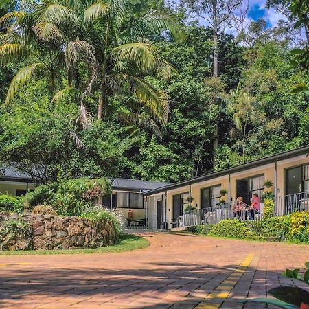 Tall Trees Motel Mountain Retreat Mount Tamborine Zewnętrze zdjęcie