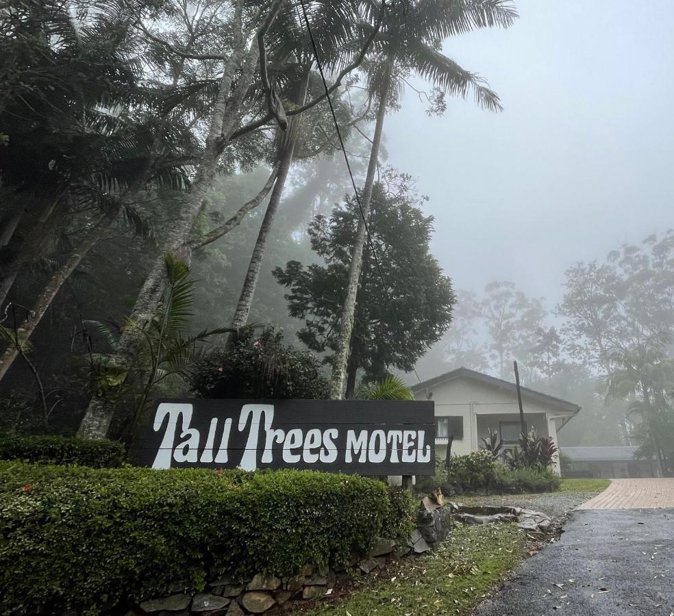 Tall Trees Motel Mountain Retreat Mount Tamborine Zewnętrze zdjęcie