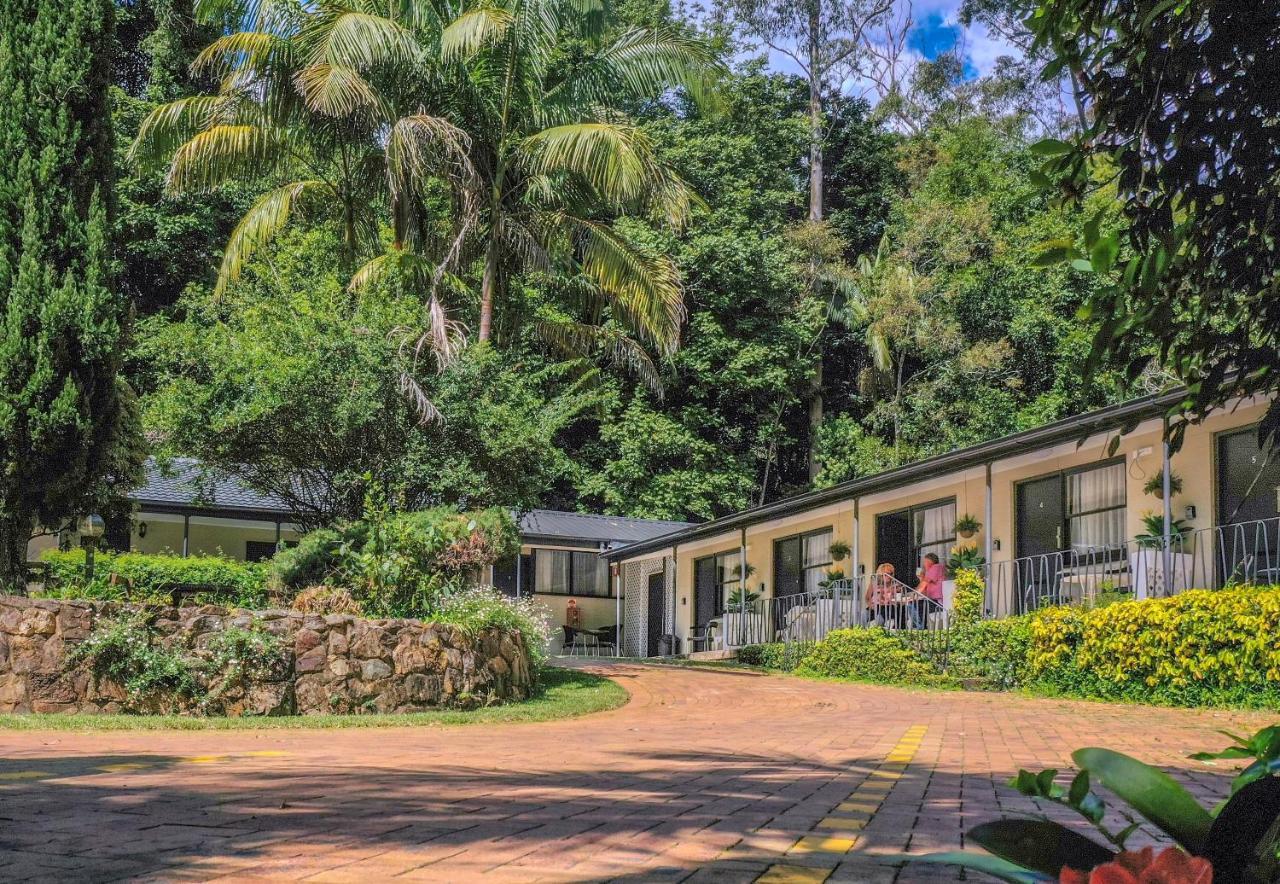 Tall Trees Motel Mountain Retreat Mount Tamborine Zewnętrze zdjęcie