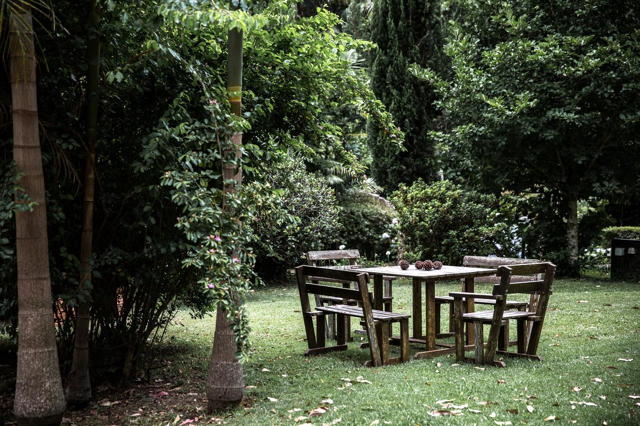 Tall Trees Motel Mountain Retreat Mount Tamborine Zewnętrze zdjęcie